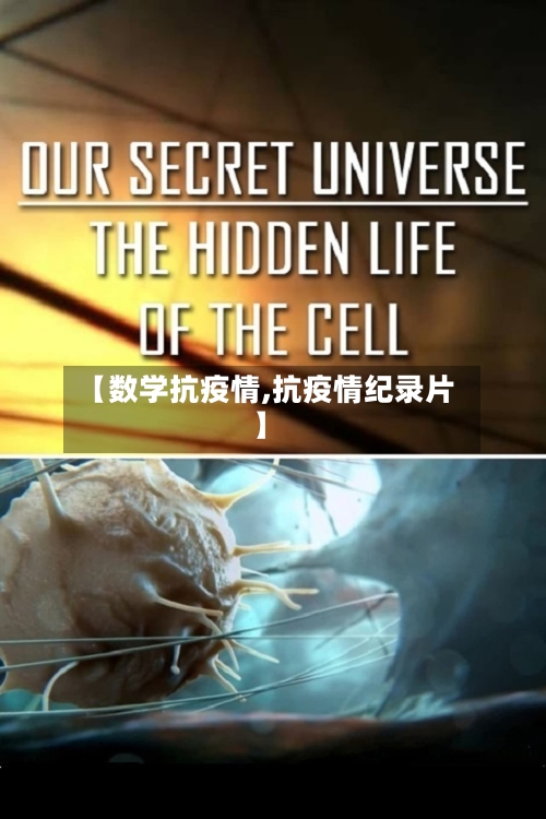 【数学抗疫情,抗疫情纪录片】