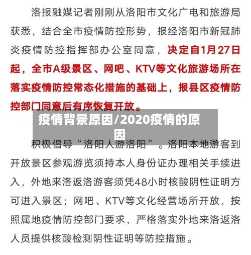 疫情背景原因/2020疫情的原因-第2张图片