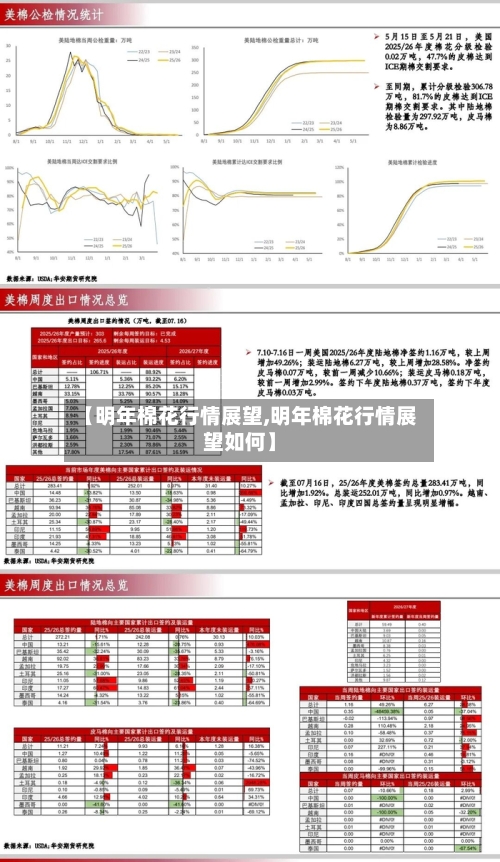【明年棉花行情展望,明年棉花行情展望如何】-第3张图片