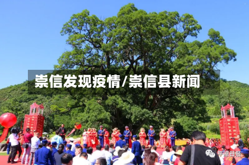 崇信发现疫情/崇信县新闻-第2张图片