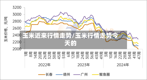 玉米近来行情走势/玉米行情走势今天的