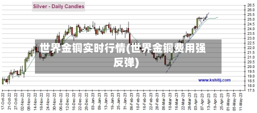世界金铜实时行情(世界金铜费用强反弹)-第2张图片