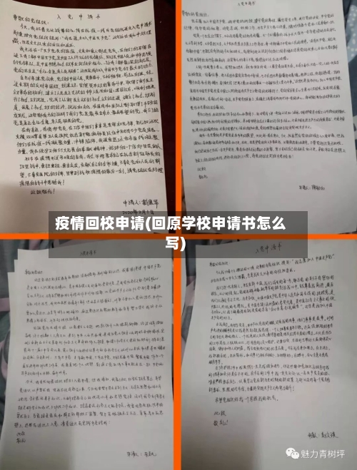 疫情回校申请(回原学校申请书怎么写)-第2张图片