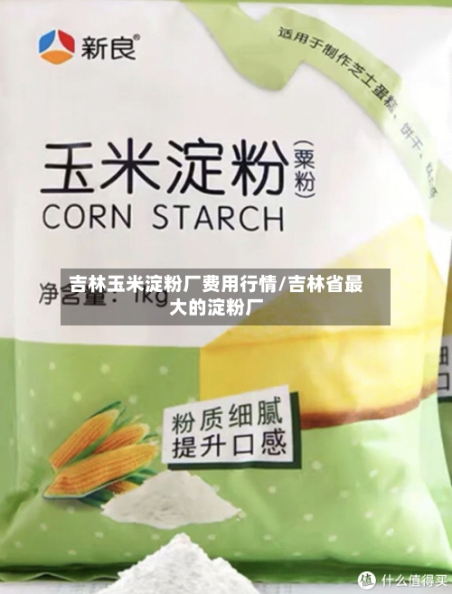 吉林玉米淀粉厂费用行情/吉林省最大的淀粉厂-第2张图片