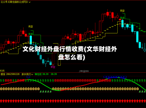 文化财经外盘行情收费(文华财经外盘怎么看)-第2张图片