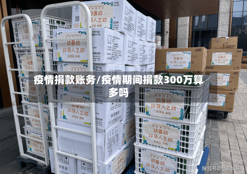 疫情捐款账务/疫情期间捐款300万算多吗-第2张图片