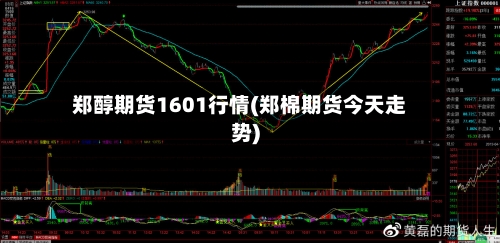 郑醇期货1601行情(郑棉期货今天走势)-第2张图片