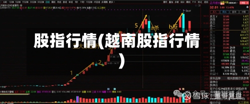 股指行情(越南股指行情)-第3张图片