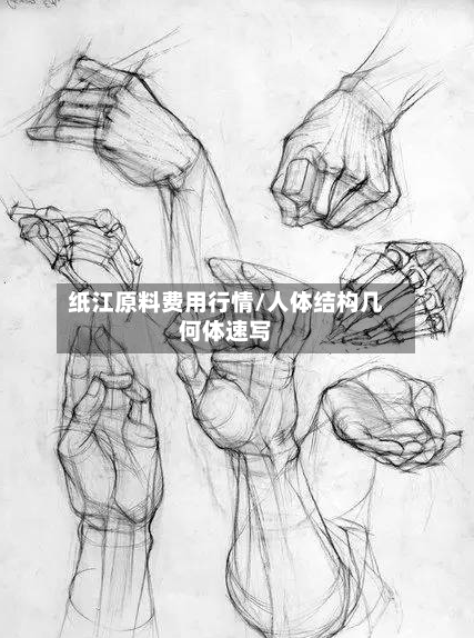 纸江原料费用行情/人体结构几何体速写