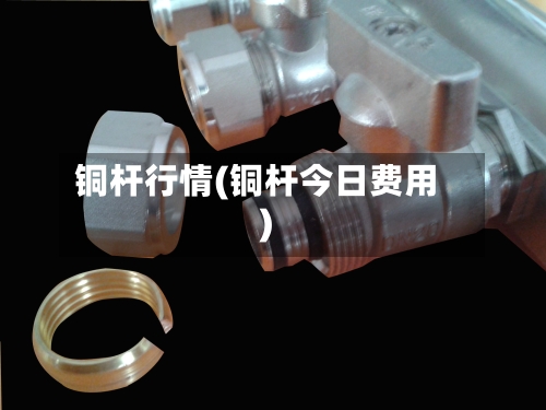 铜杆行情(铜杆今日费用)-第2张图片