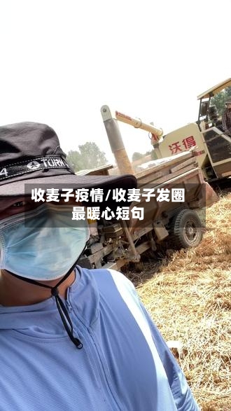 收麦子疫情/收麦子发圈最暖心短句-第3张图片