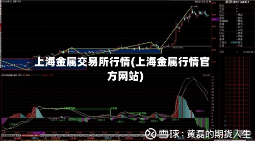 上海金属交易所行情(上海金属行情官方网站)-第3张图片