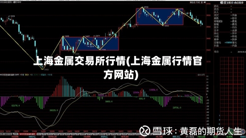 上海金属交易所行情(上海金属行情官方网站)-第2张图片