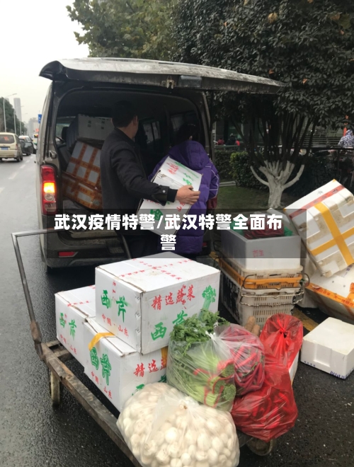 武汉疫情特警/武汉特警全面布警-第2张图片