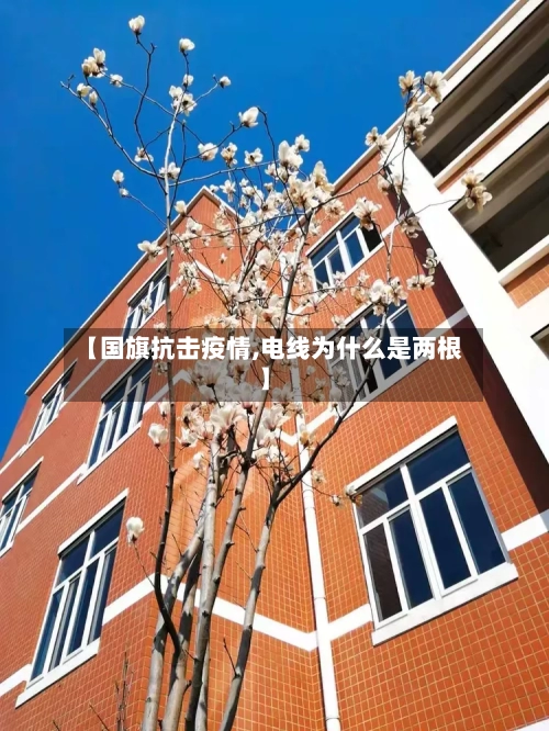 【国旗抗击疫情,电线为什么是两根】-第2张图片