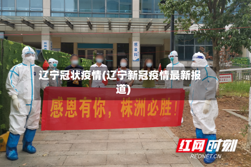 辽宁冠状疫情(辽宁新冠疫情最新报道)