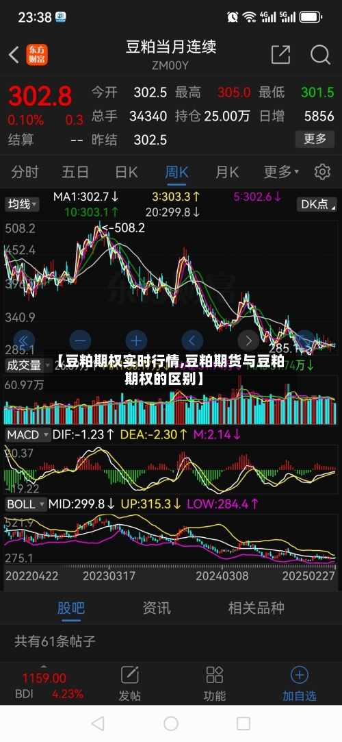 【豆粕期权实时行情,豆粕期货与豆粕期权的区别】-第2张图片