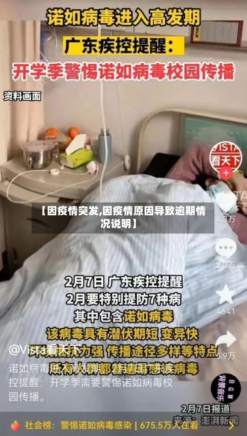 【因疫情突发,因疫情原因导致逾期情况说明】