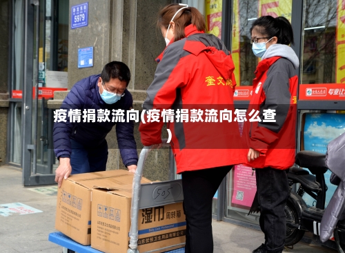 疫情捐款流向(疫情捐款流向怎么查)-第3张图片