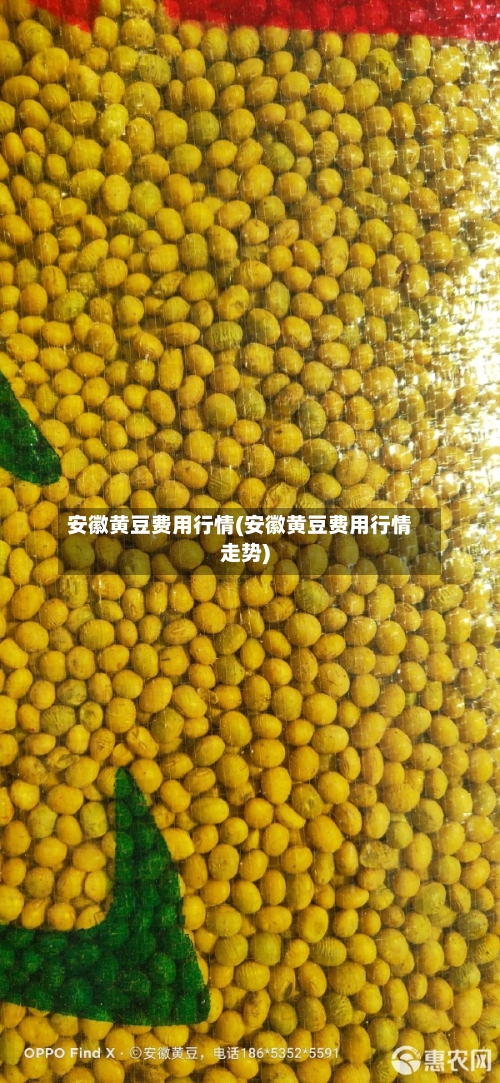 安徽黄豆费用行情(安徽黄豆费用行情走势)