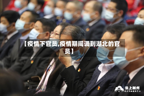 【疫情下官员,疫情期间调到湖北的官员】-第2张图片