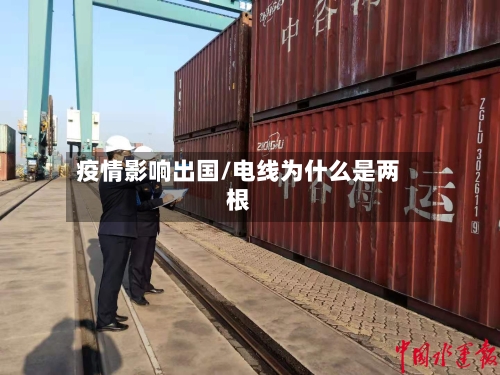 疫情影响出国/电线为什么是两根-第2张图片