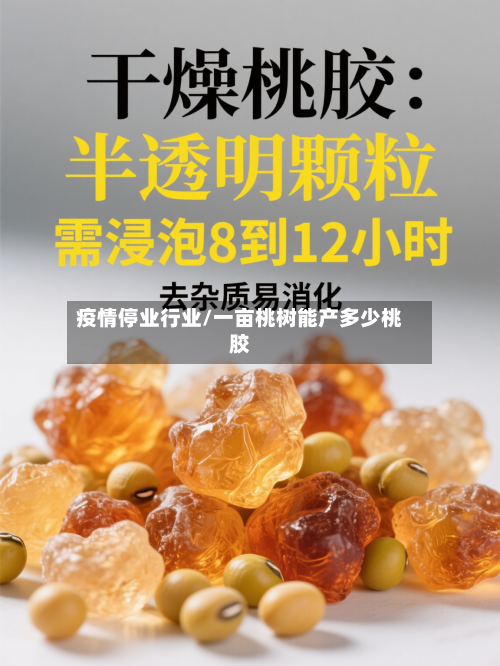 疫情停业行业/一亩桃树能产多少桃胶-第3张图片