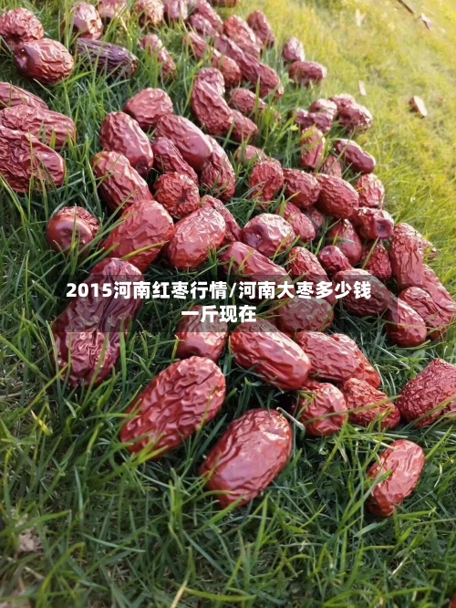2015河南红枣行情/河南大枣多少钱一斤现在