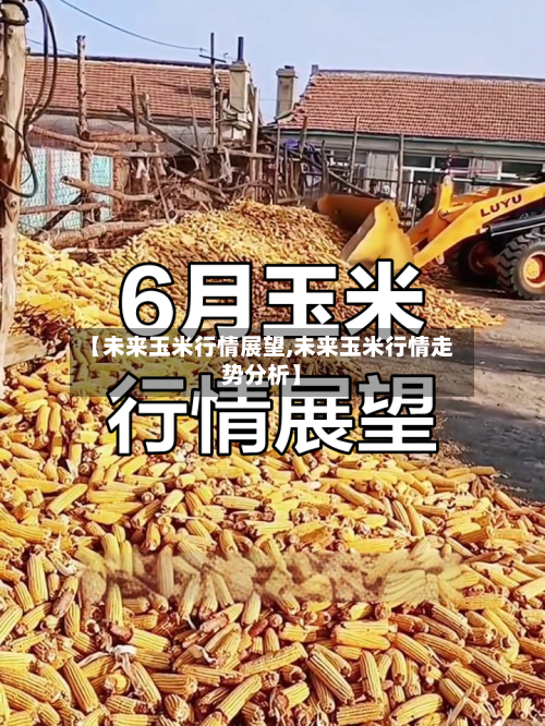 【未来玉米行情展望,未来玉米行情走势分析】
