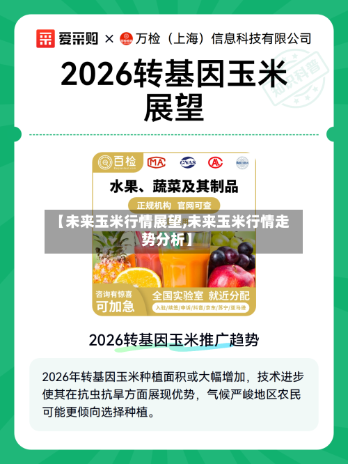 【未来玉米行情展望,未来玉米行情走势分析】-第2张图片