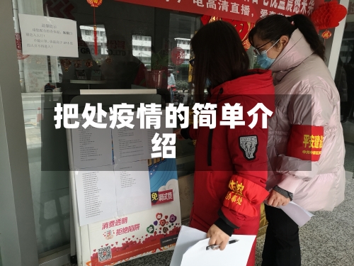 把处疫情的简单介绍