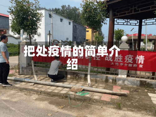 把处疫情的简单介绍-第3张图片