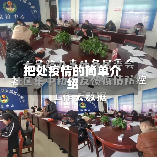 把处疫情的简单介绍-第2张图片