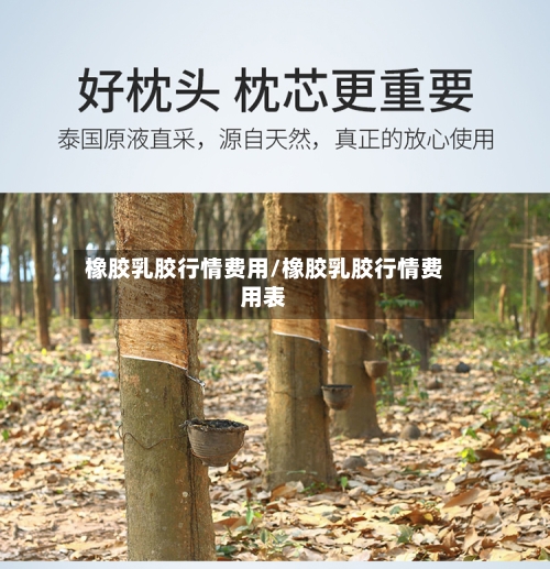 橡胶乳胶行情费用/橡胶乳胶行情费用表-第3张图片