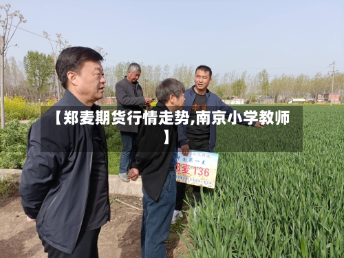 【郑麦期货行情走势,南京小学教师】