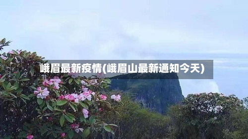 峨眉最新疫情(峨眉山最新通知今天)-第2张图片