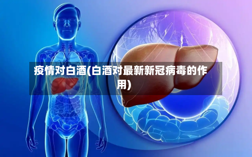 疫情对白酒(白酒对最新新冠病毒的作用)