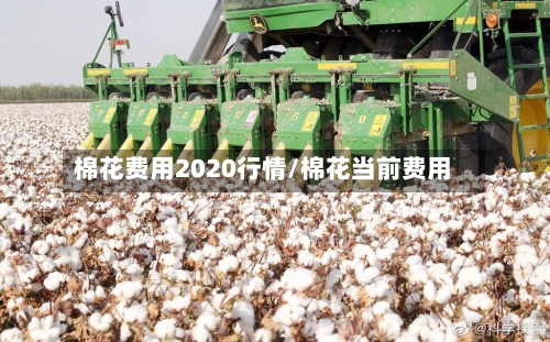 棉花费用2020行情/棉花当前费用-第2张图片