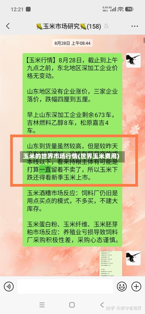 玉米的世界市场行情(世界玉米费用)-第2张图片