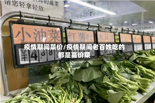 疫情期间菜价/疫情期间老百姓吃的都是高价菜-第3张图片