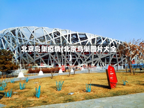 北京鸟巢疫情(北京鸟巢图片大全)-第2张图片