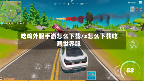 吃鸡外服手游怎么下载/z怎么下载吃鸡世界服-第3张图片