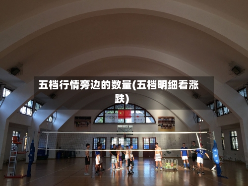 五档行情旁边的数量(五档明细看涨跌)