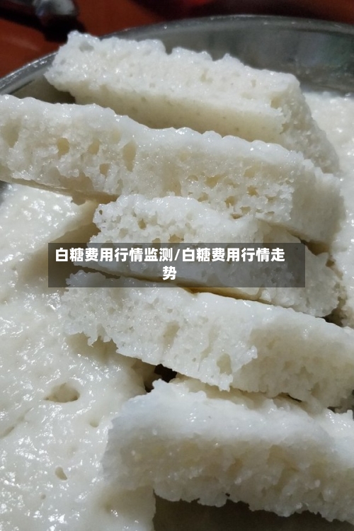 白糖费用行情监测/白糖费用行情走势