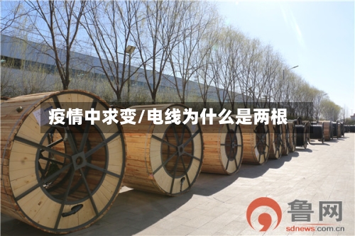疫情中求变/电线为什么是两根