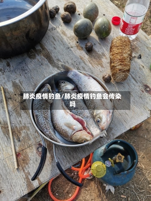 肺炎疫情钓鱼/肺炎疫情钓鱼会传染吗