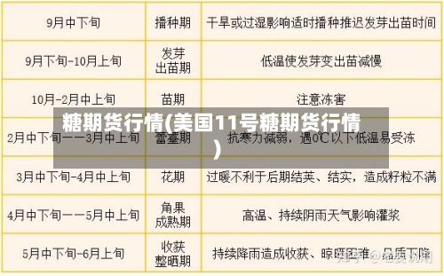 糖期货行情(美国11号糖期货行情)