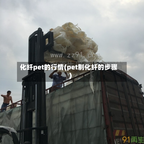 化纤pet的行情(pet制化纤的步骤)