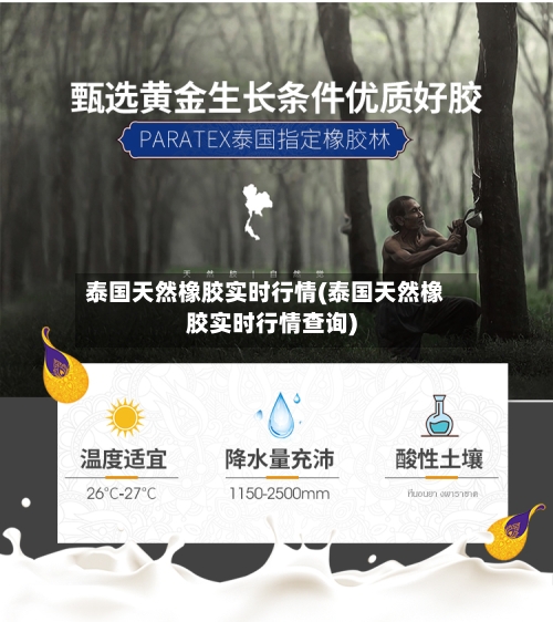 泰国天然橡胶实时行情(泰国天然橡胶实时行情查询)
