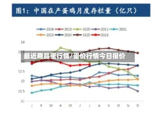 最近商品蛋行情/蛋价行情今日报价